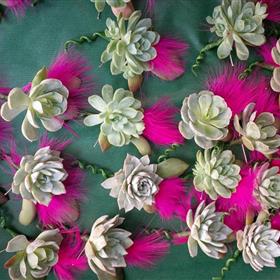 fwthumbZ Buttonhole Collection Succulents.jpg